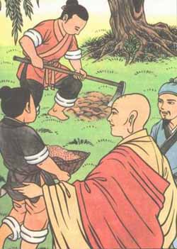 14.  The Free Life Pond