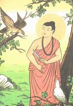 9.  An Arm for A Life