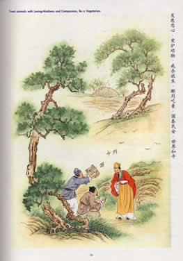 The Birds Which Buried The Corpse