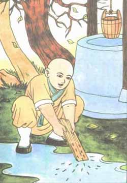 17.  The Sami Who Rescued the Ants