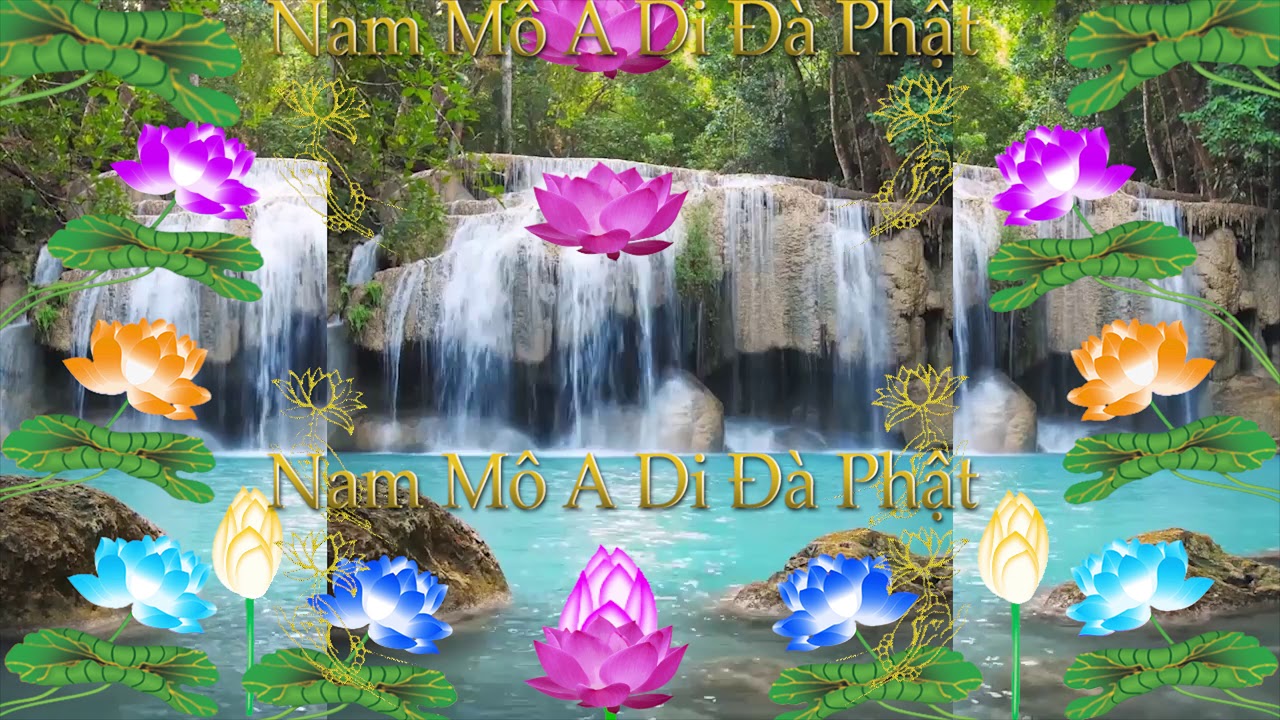 Nam Mô A Di Đà Phật. {♪Hoa Sen ♪} - #DiệuÂm